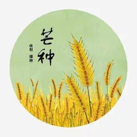 芒种忙，惜时光