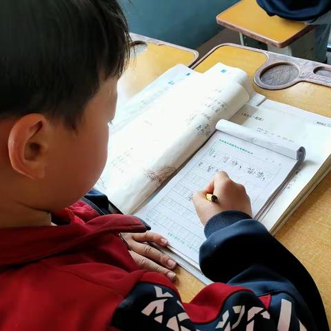 成长中的我们－-一年级二班