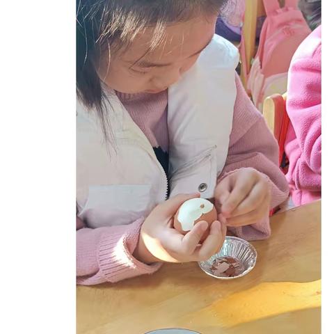 生活好习惯  快乐展风采____逸夫小学幼儿园大一班
