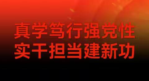 哈密安监中队党支部开展建党        102周年主题党日活动