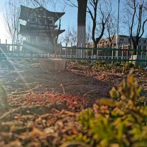 青春有你 一路同行——路南职校新媒体影视专业“春芽”校园摄影大赛圆满落幕