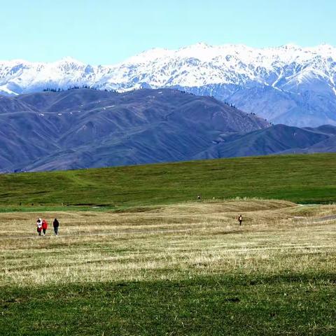 新疆是个好地方之六  空中草原那拉提
