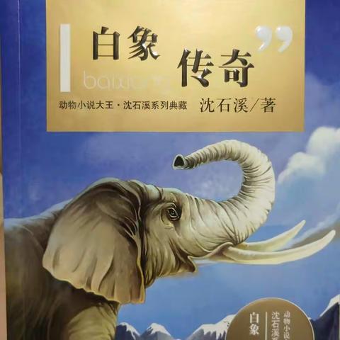 王佳瑄阅读《白象传奇》