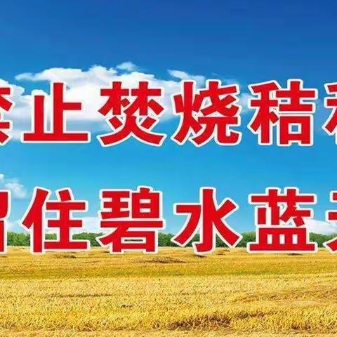 保护自然环境，爱惜共同家园——永安乡中心小学禁烧秸秆宣传活动