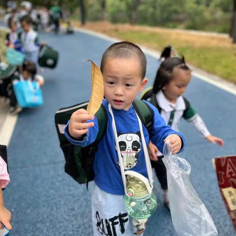 振城幼儿园小一班拓展活动：寻找秋天