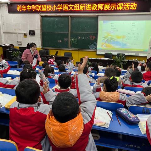 共研，共进，共成长 ———利辛中学三区小学语文组大教研活动剪影