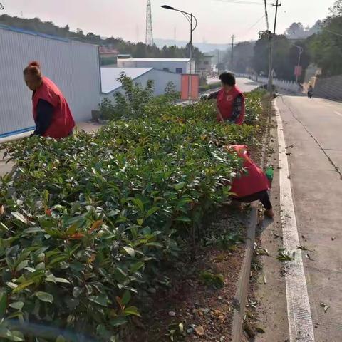 小关镇张家庄村开展志愿服务活动