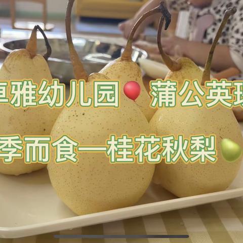 小小蒲公英—桂花秋梨奶冻