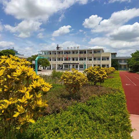 2020年秋季天口小学一年级新生（第二轮）报名通知（征订教科书用）