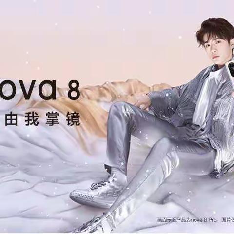 华为新品NOVA 8 系列，现接受预定，地址:泊头信誉楼2楼华为手机柜组咨询电话:0317--8312083