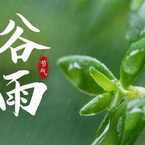 “雨生百谷 润物无声”—滦平县第三幼儿园谷雨主题活动