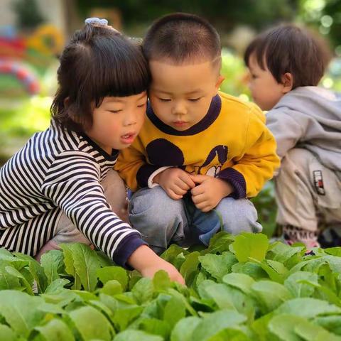 爱多幼儿园小四班