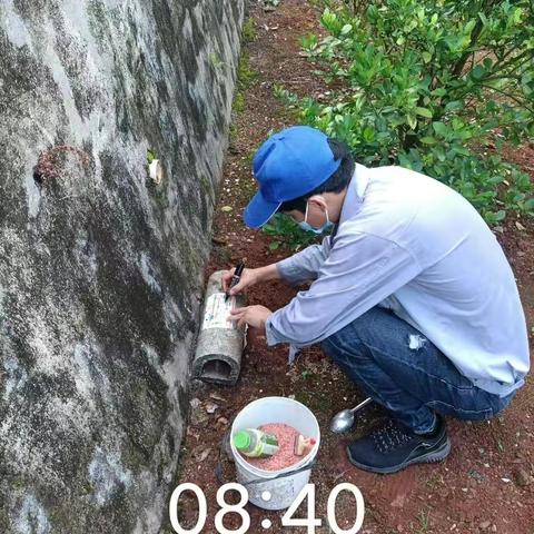 2023年6月23日美兰区灵山镇病媒生物防制工作日志