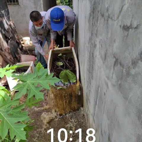 2023年6月25日美兰区灵山镇病媒生物防制工作日志