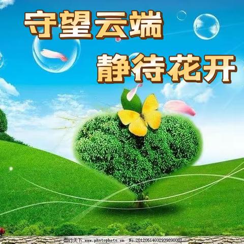 云端筑梦 静待花开——乌市第三十八中学线上教学纪实