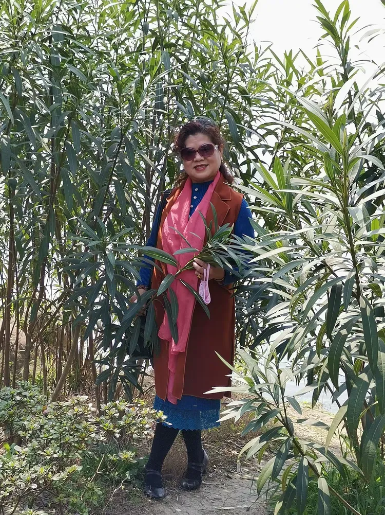 艳艳个人专辑