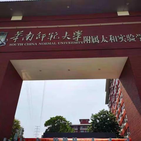 【执法一大队】7月22日工作简报