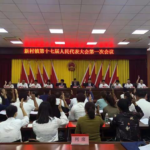 新村镇第十七届人民代表大会第一次会议胜利召开