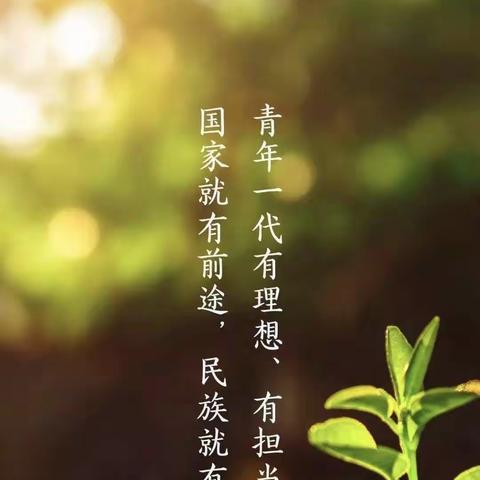 “青年，你为什么入团”—正定县第四中学校长讲思政课主题活动