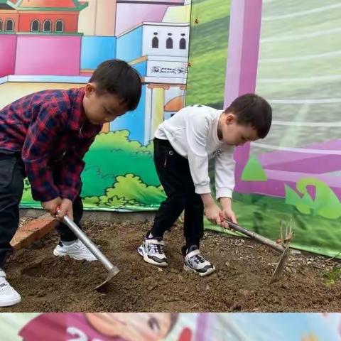 “新学期 播种新希望”洄水镇中心幼儿园种植活动进行中