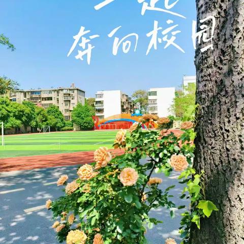 在探究中学习，在实验中发现-西工区第二实验小学2022-2023学年第二学期期末实验考核