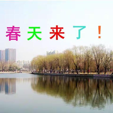 春天来了—西溪马莲原創春花春景摄影汇集之完整版(三版)