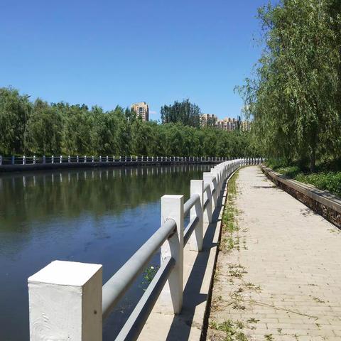 细河夏日  _  于洪段