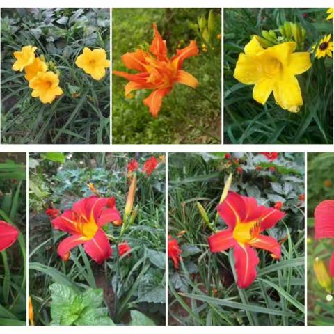 我拿什么纪念您、我在天国里的母亲（外一首）