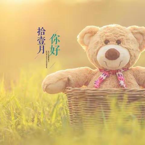 小天才幼儿园豆豆三班十一月份小结