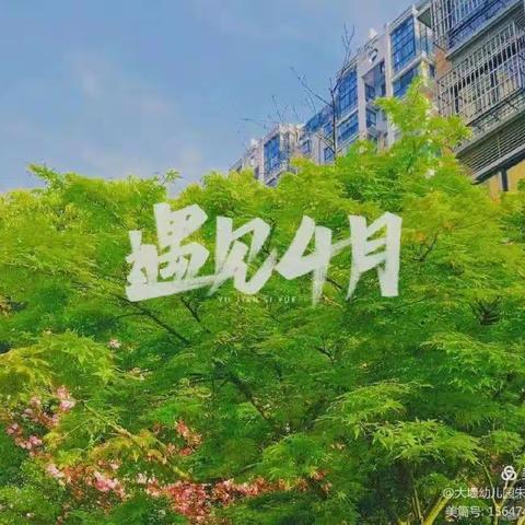 娇娇的美篇
