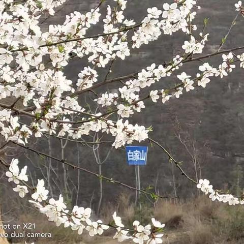 探秘韩版郭亮村