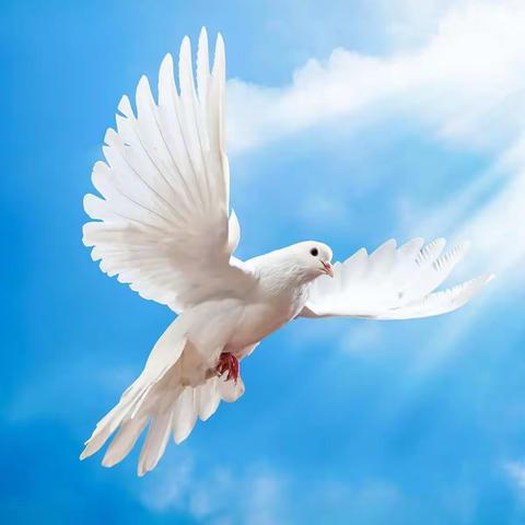 回顾过去 展望未来 ——龙岭小学2018年春期中总结表彰大会