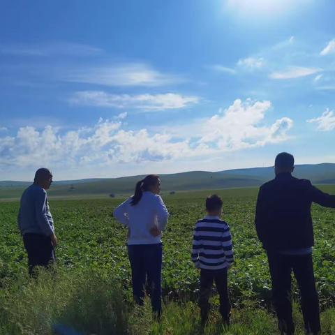 东北自驾游  2023.7.9--7.15