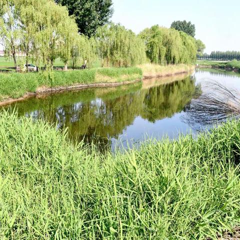 唐山市古冶海子湖湿地保护区