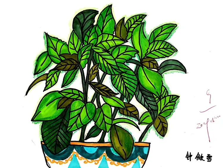 【植物写生】