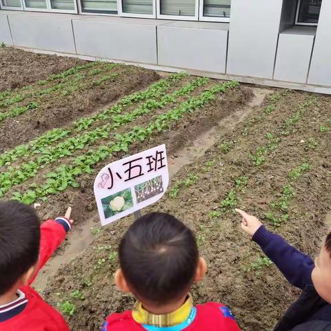 沙漏的爱的美篇