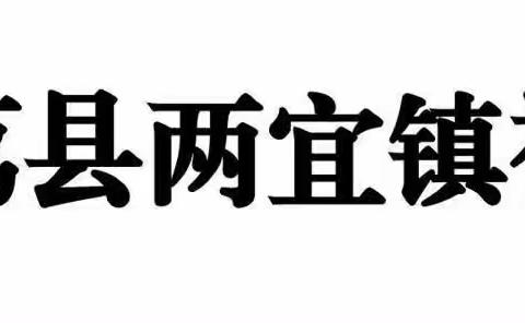 亲历植物种植 感悟自然生命———冯翊初中教育集团两宜镇初级中学劳动教育实践