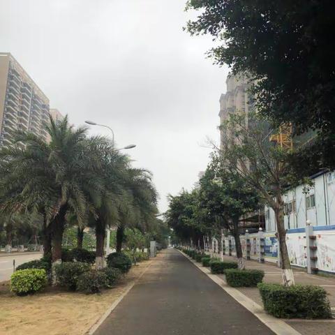 秀英区农业农村局组织工作人员对包点路段、包点村进行巡查