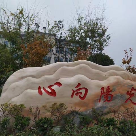 走向诗意的稻香田园