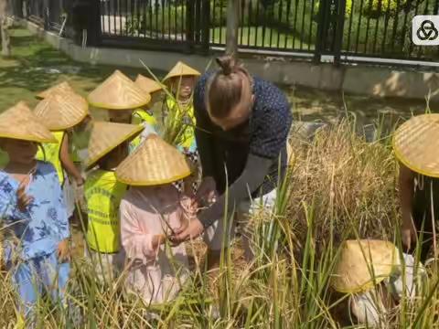 艺鸣湖岸“金秋时节～稻谷飘香”