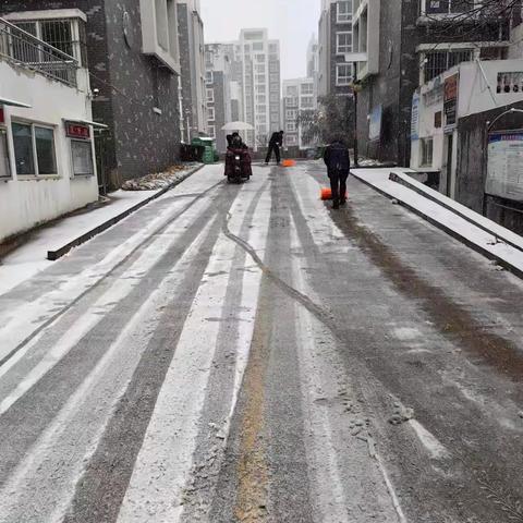 东阿县恒信物业管理有限责任公司｜雪落知寒意 扫雪暖人心