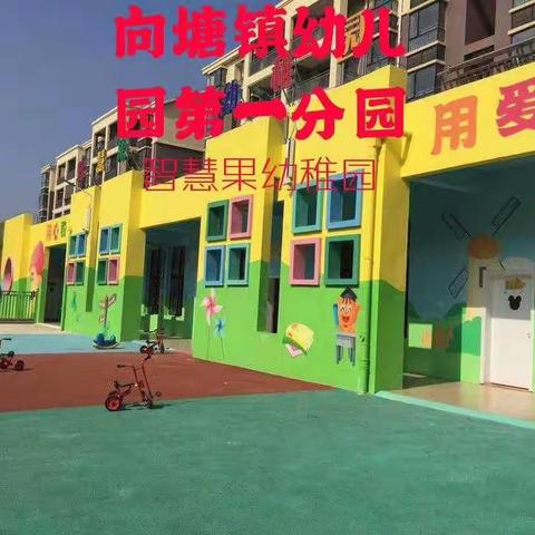【来咯来咯！】智慧果幼稚园2021年春季招生火热进行中…