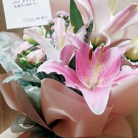 九月星风采一一记九龙小学二(6)班学生活动(一)