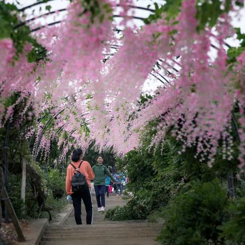 大悟县花芊谷近照