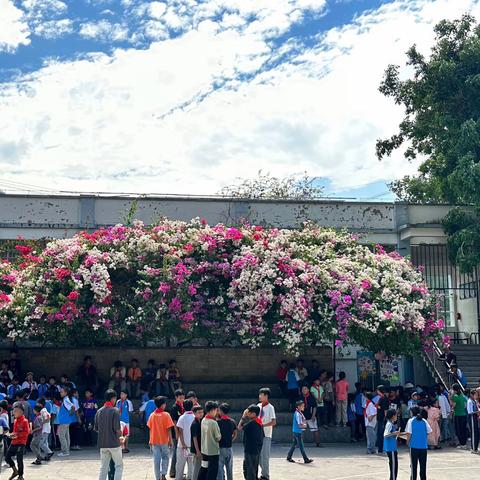 “好书绿色漂流 分享快乐无限”—泗南江小学图书跳蚤市场活动