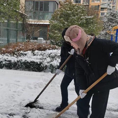 - 暴雪无情，物业有爱——丰泽园物业用坚守守护家园平安