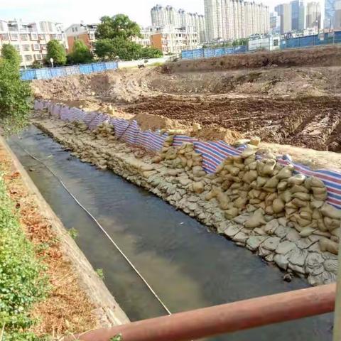 8月2日杨村溪（江湾工业区段）