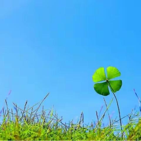 🌈🌈人民办迪尔贝贝小班组24项品格之《勇敢》🌱🌱