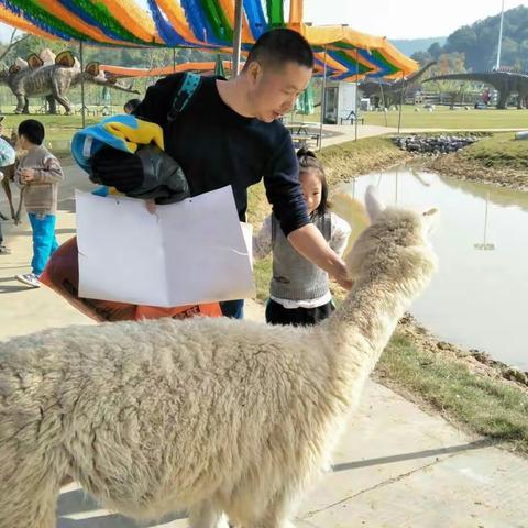 2017年鹤冲幼儿园大3班亲子活动！激情活力，团结友爱!