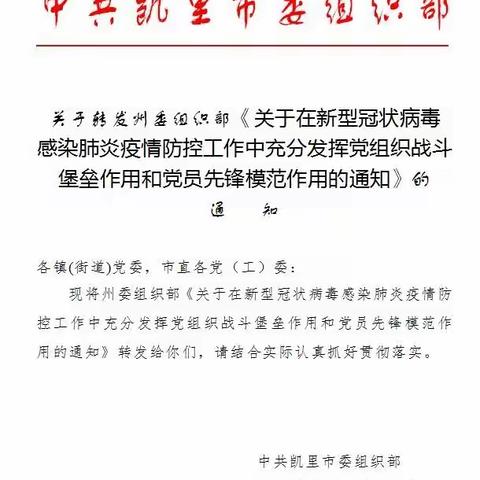 凯里九小党支部敢于向疫情挑战